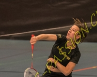 1BULLMINTON - 0019